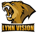 Lynn Vision