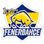 1907 Fenerbahçe Esports