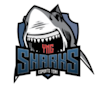 Sharks Youngsters
