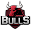 GTZ Bulls